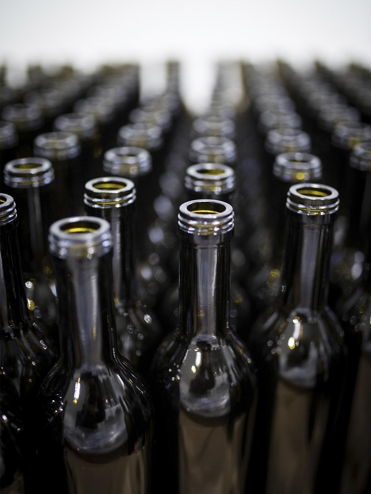 Almazaras de aceite - Aceite a granel Almazaras de aceite